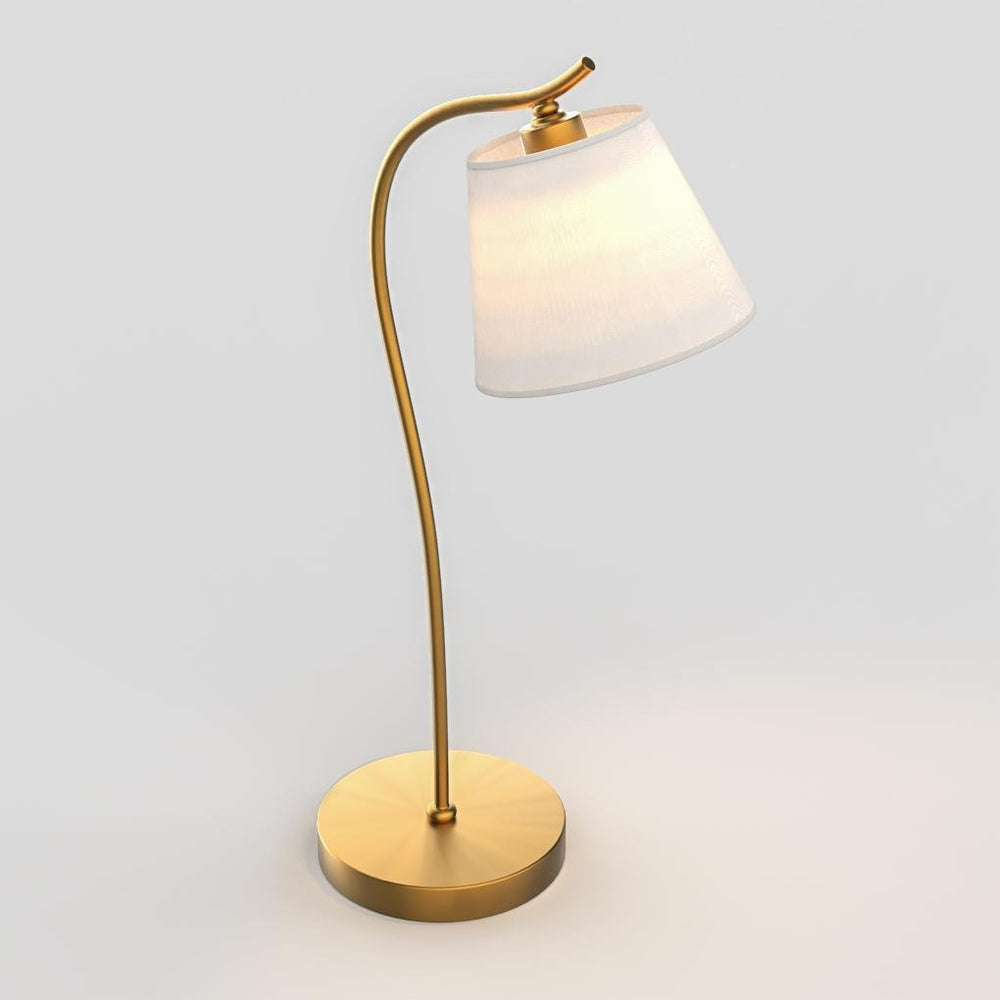 Metal Gooseneck Desk Lamp with Cone Fabric Shade