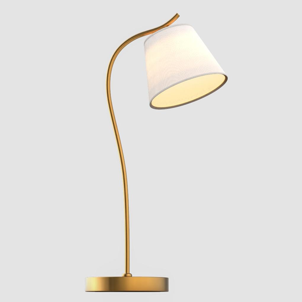 Metal Gooseneck Desk Lamp with Cone Fabric Shade