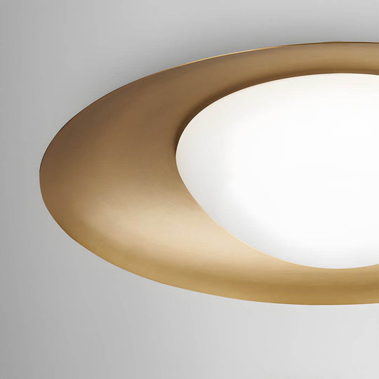 1-Light Round LED Flush Mount Ceiling Light