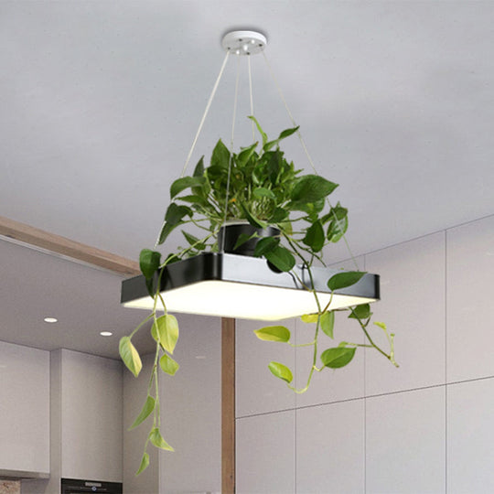 LED Chandelier Light Fixture with Acrylic Shade - Antiqued Style for Dining Room - Black/White/Blue - 16"/19.5" W