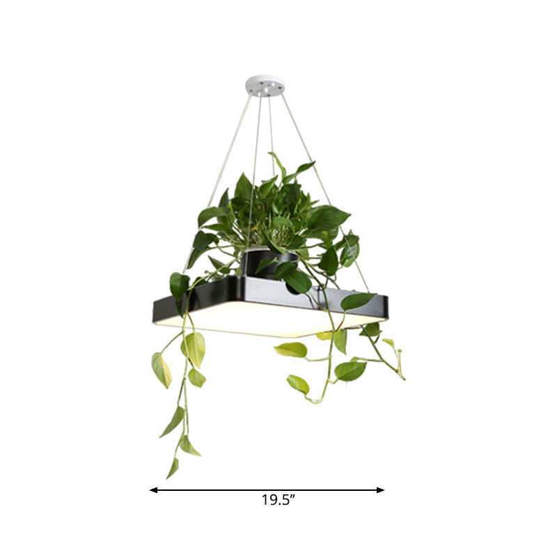 LED Chandelier Light Fixture with Acrylic Shade - Antiqued Style for Dining Room - Black/White/Blue - 16"/19.5" W