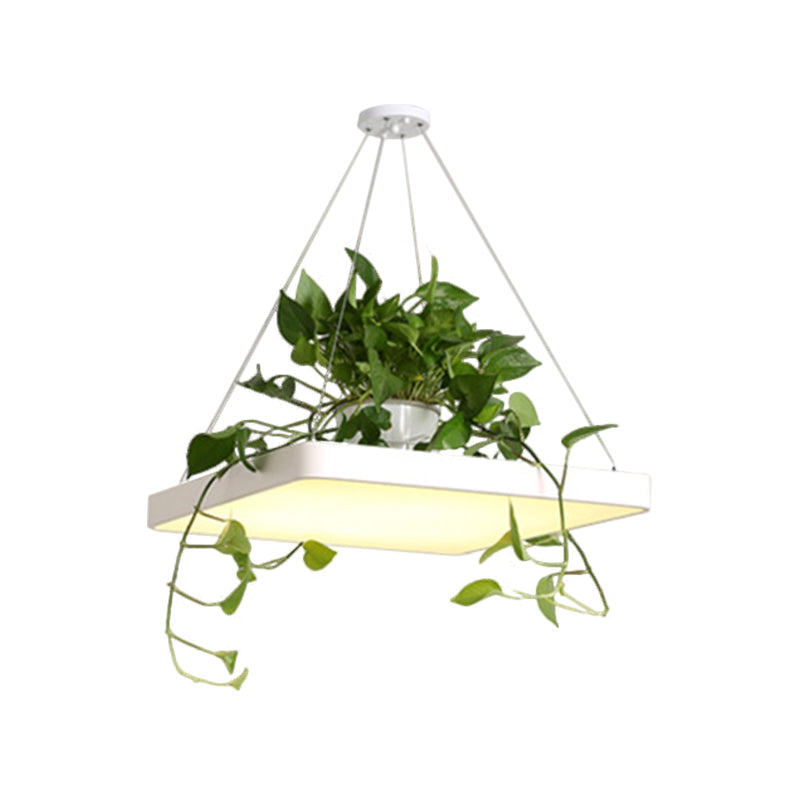 LED Chandelier Light Fixture with Acrylic Shade - Antiqued Style for Dining Room - Black/White/Blue - 16"/19.5" W