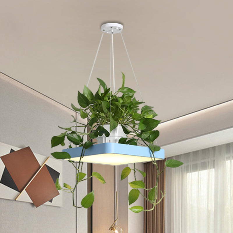 LED Chandelier Light Fixture with Acrylic Shade - Antiqued Style for Dining Room - Black/White/Blue - 16"/19.5" W