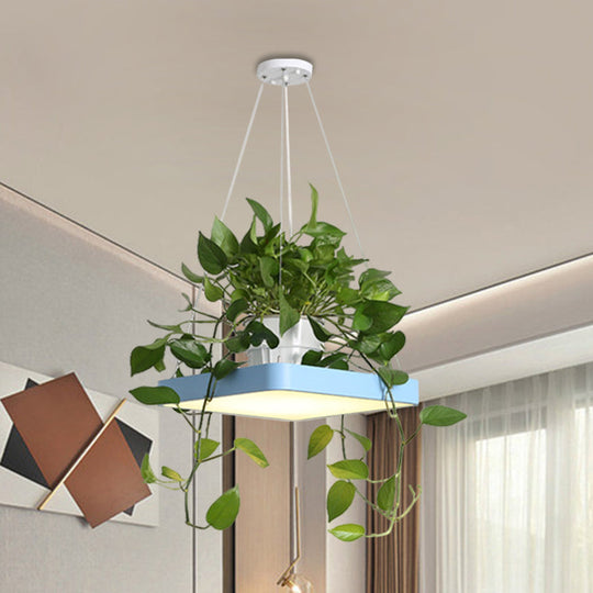 LED Chandelier Light Fixture with Acrylic Shade - Antiqued Style for Dining Room - Black/White/Blue - 16"/19.5" W