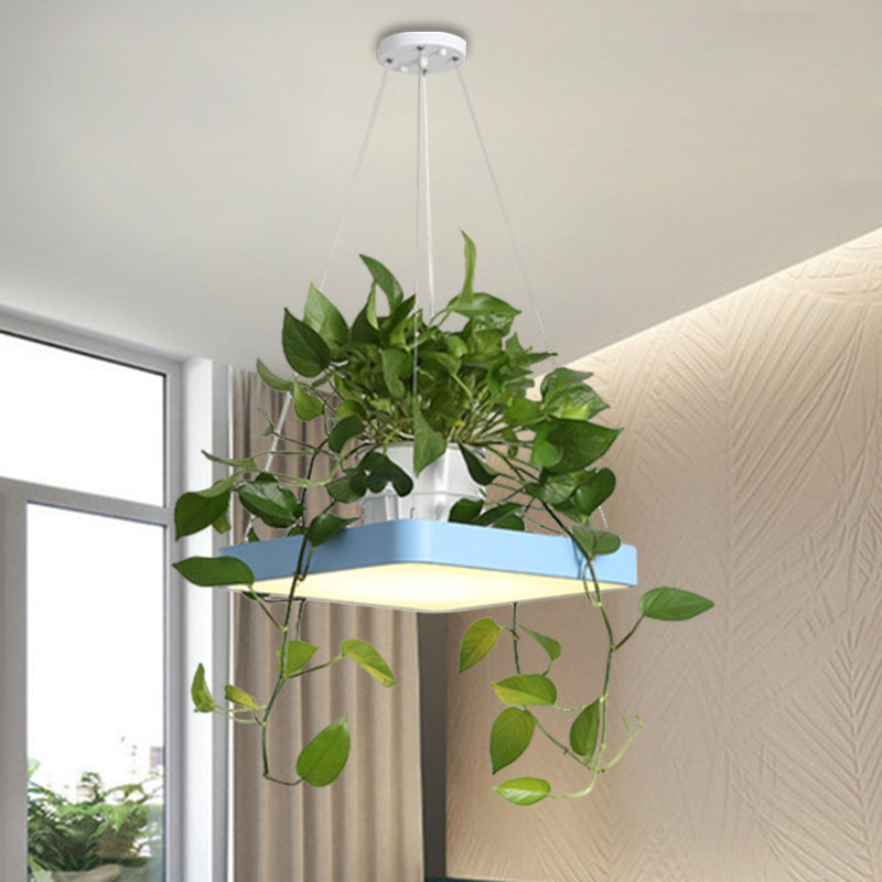 LED Chandelier Light Fixture with Acrylic Shade - Antiqued Style for Dining Room - Black/White/Blue - 16"/19.5" W