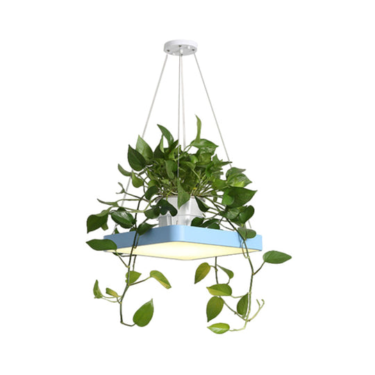 LED Chandelier Light Fixture with Acrylic Shade - Antiqued Style for Dining Room - Black/White/Blue - 16"/19.5" W