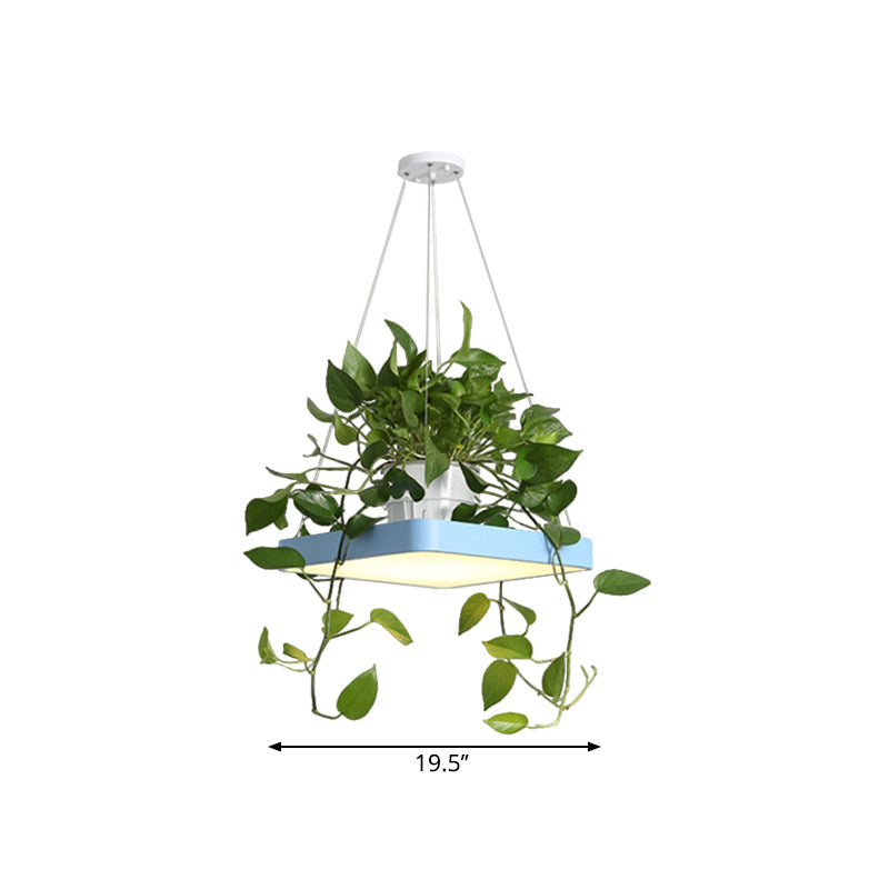 LED Chandelier Light Fixture with Acrylic Shade - Antiqued Style for Dining Room - Black/White/Blue - 16"/19.5" W