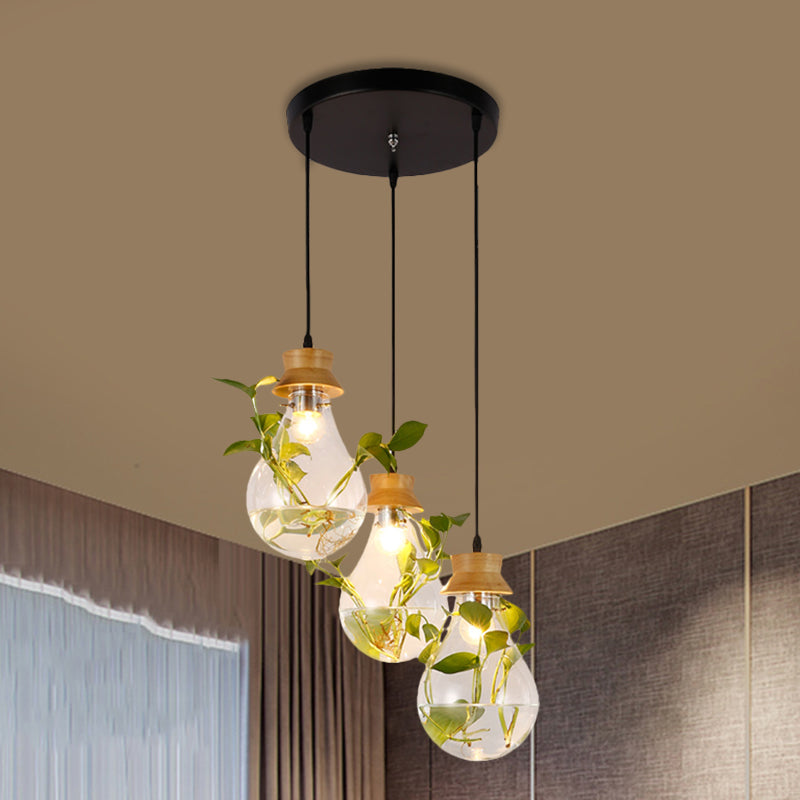 12"/19.5" W Clear Glass Farmhouse Pendant Light Kit in Black, 3-Head Cluster Design, Bulb Shaped, Linear/Round Canopy