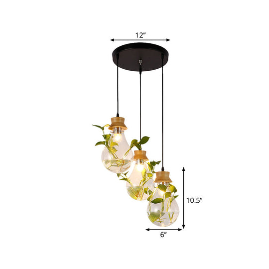 12"/19.5" W Clear Glass Farmhouse Pendant Light Kit in Black, 3-Head Cluster Design, Bulb Shaped, Linear/Round Canopy