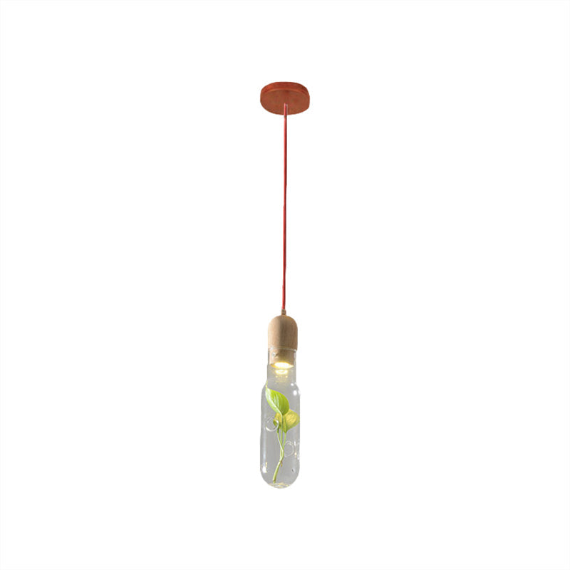 1-Head LED Pendant Light with Clear Glass Factory Bottle Design and Inner Plant Decoration for Ceiling