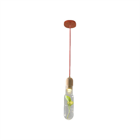 1-Head LED Pendant Light with Clear Glass Factory Bottle Design and Inner Plant Decoration for Ceiling