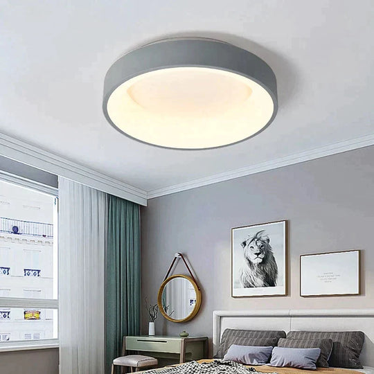 Nordic LED Ceiling Lights For Bedroom Kitchen Post Modern Lighting Ceiling Lamp Dimmable With Remote Creative Living Room Light