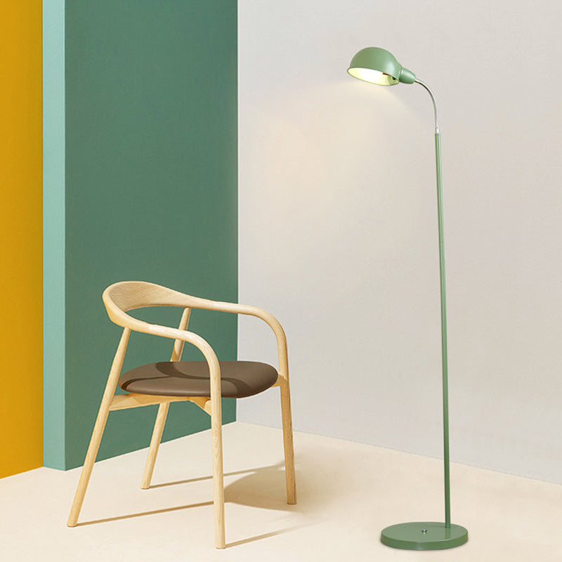 Contemporary Metal Dome Shade Floor Lamp with Flexible Gooseneck Arm