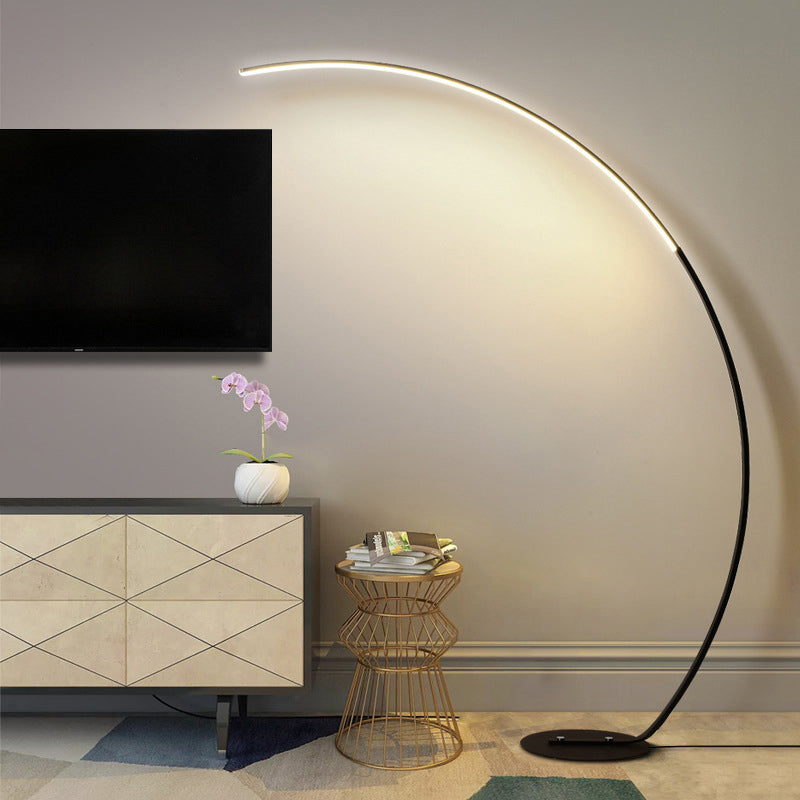 Modern Acrylic Floor Lamp: White LED Lighting for Living Room with Fishing Rod Stand