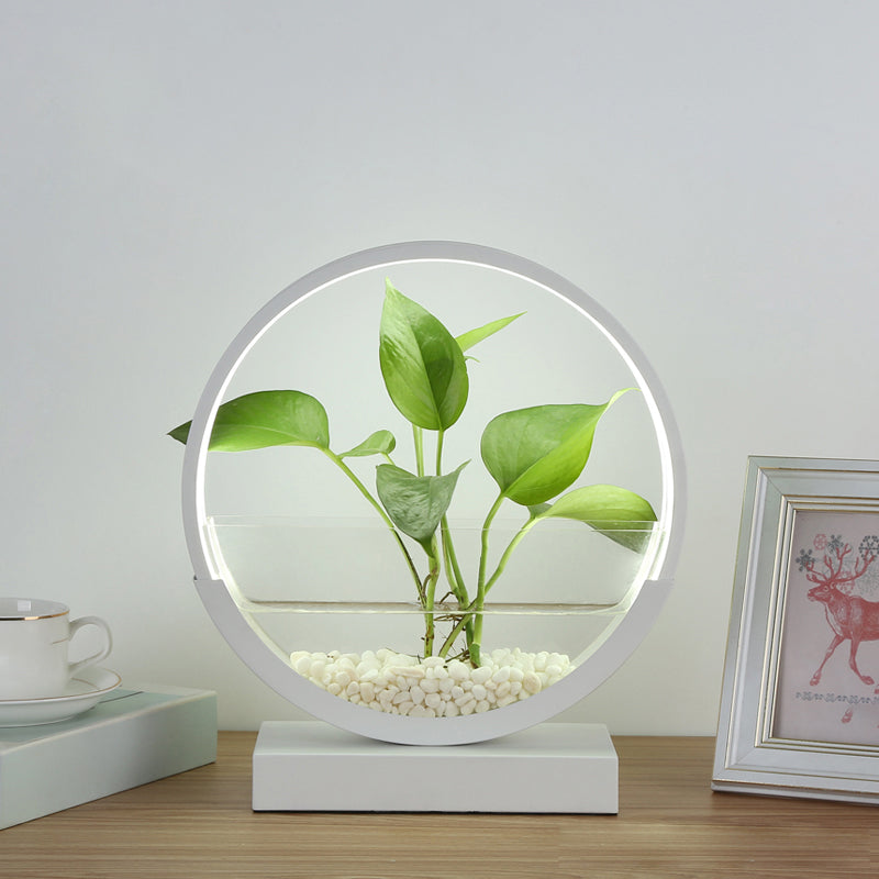 Nordic Circle Table Lamp with Hydroponics Plant Pot Design and LED Night Light