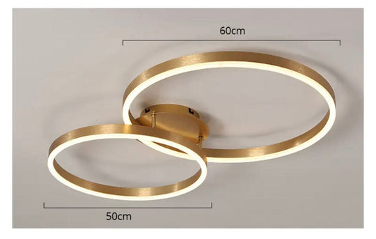 Carly Ring Ceiling Light – Elegant Aluminum Light Fixture with Adjustable Rings