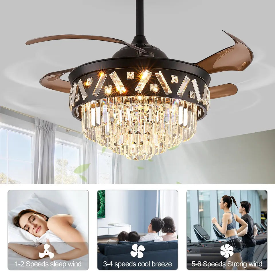 Sophia Retractable Ceiling Fan with Light: Feel the Breeze and Illuminate Your Space