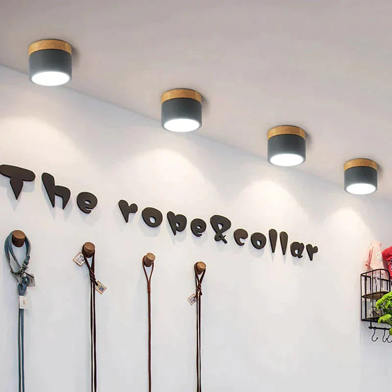 Nordic Ceiling Lights Modern Porch Aisle Corridor LED Ceiling Lighting Fixtures