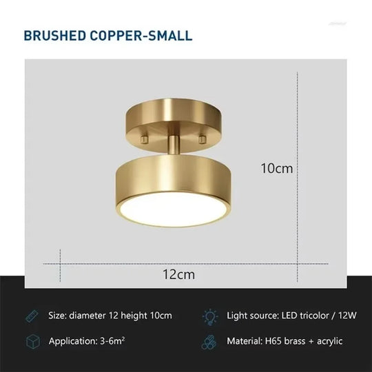 Nordic LED Ceiling Light with Adjustable Copper Finish