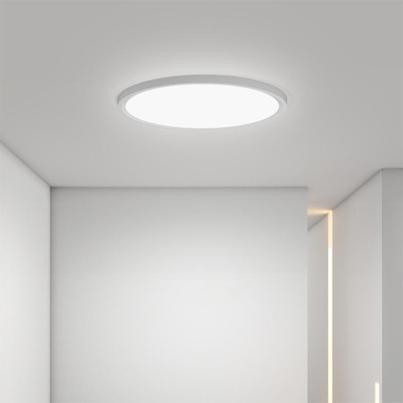 Minimalist Black Circle Industrial Flush Mount Ceiling Light