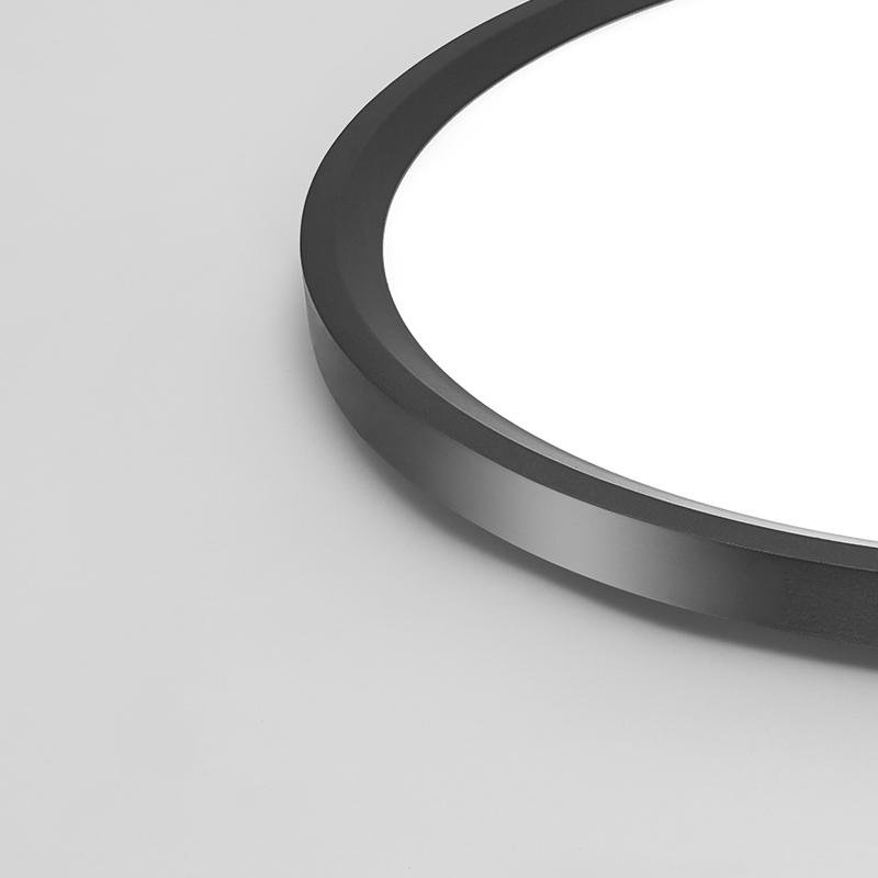 Minimalist Black Circle Industrial Flush Mount Ceiling Light