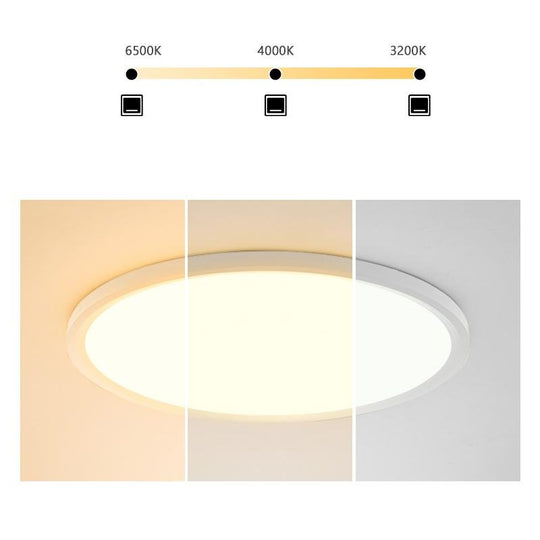 Minimalist Black Circle Industrial Flush Mount Ceiling Light