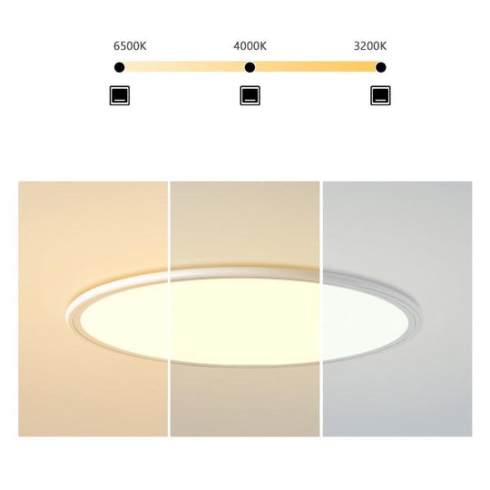 Soft White Round Industrial Black Flush Mount Ceiling Light