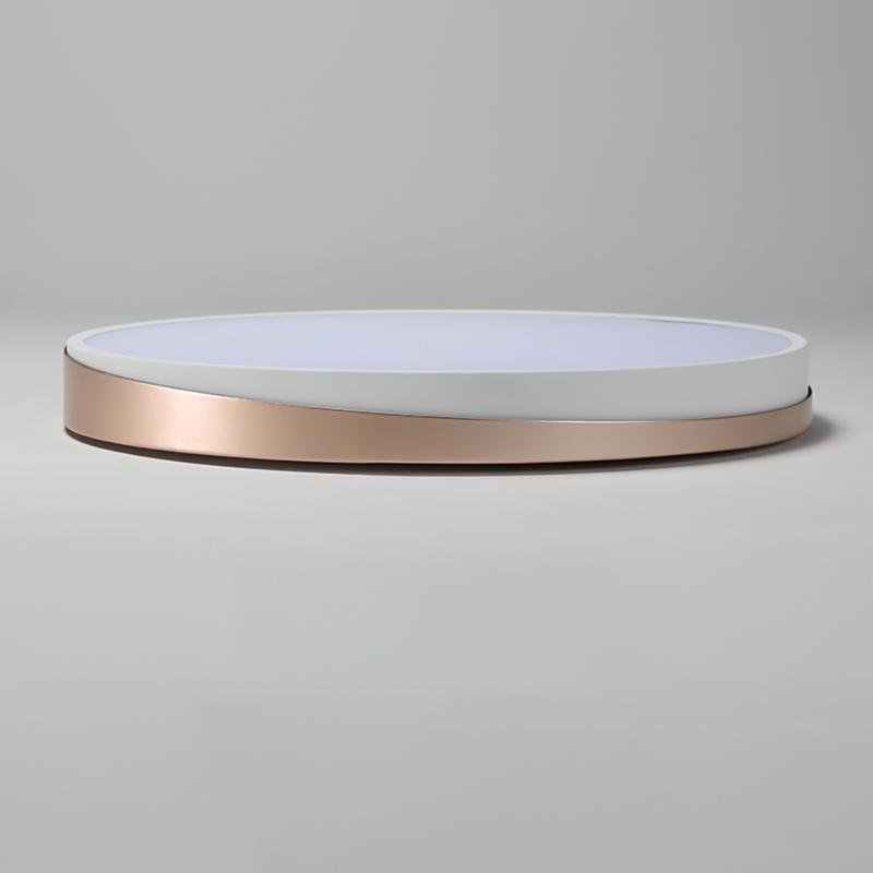 Circle Modern Flush Mount Ceiling Light