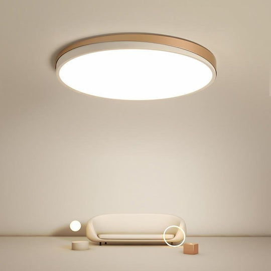 Circle Modern Flush Mount Ceiling Light