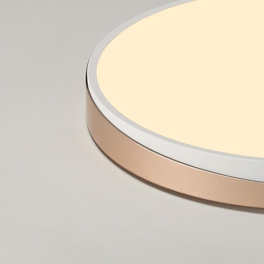 Circle Modern Flush Mount Ceiling Light