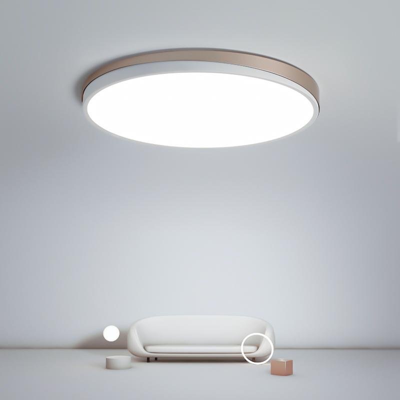 Circle Modern Flush Mount Ceiling Light