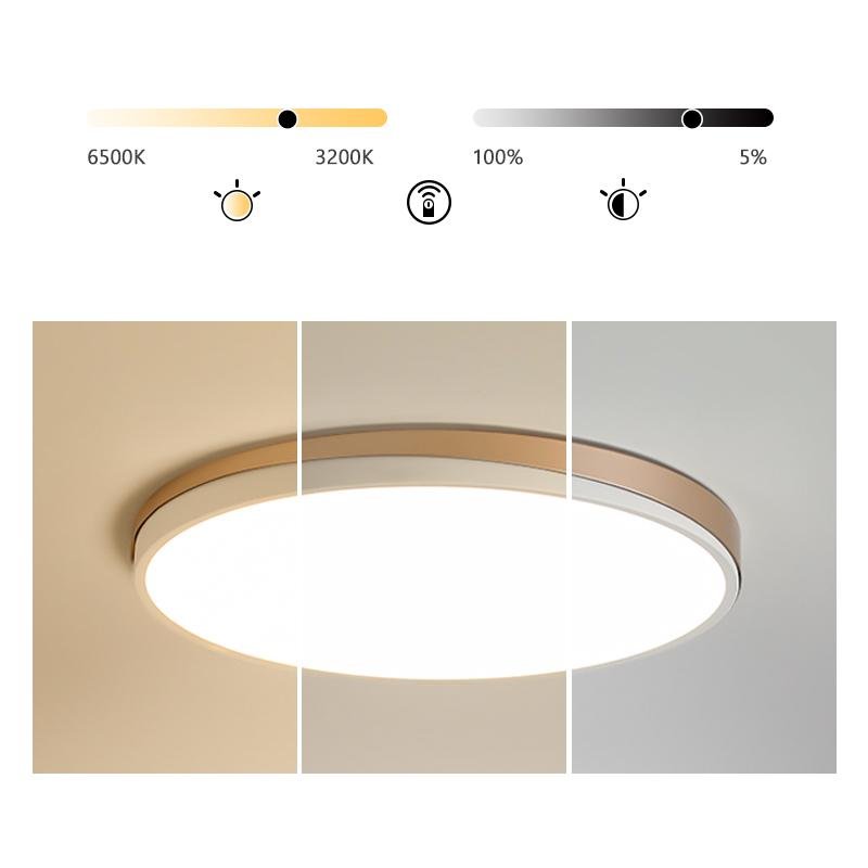 Circle Modern Flush Mount Ceiling Light