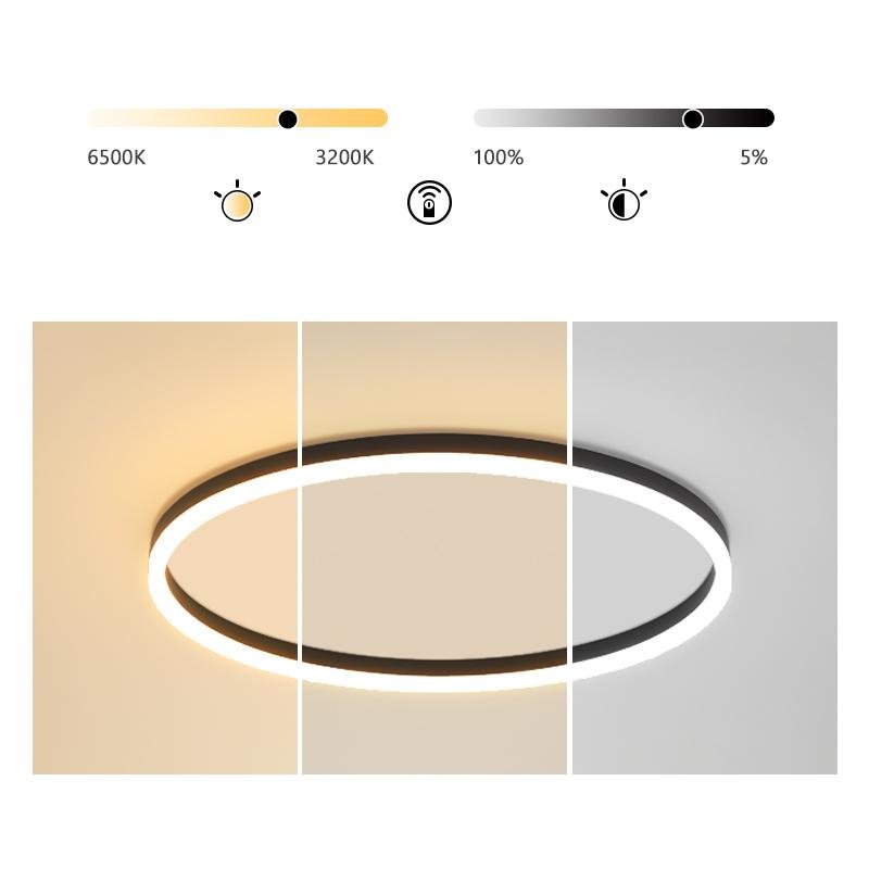Black Round Dimmable Aluminum Flush Mount Ceiling Light