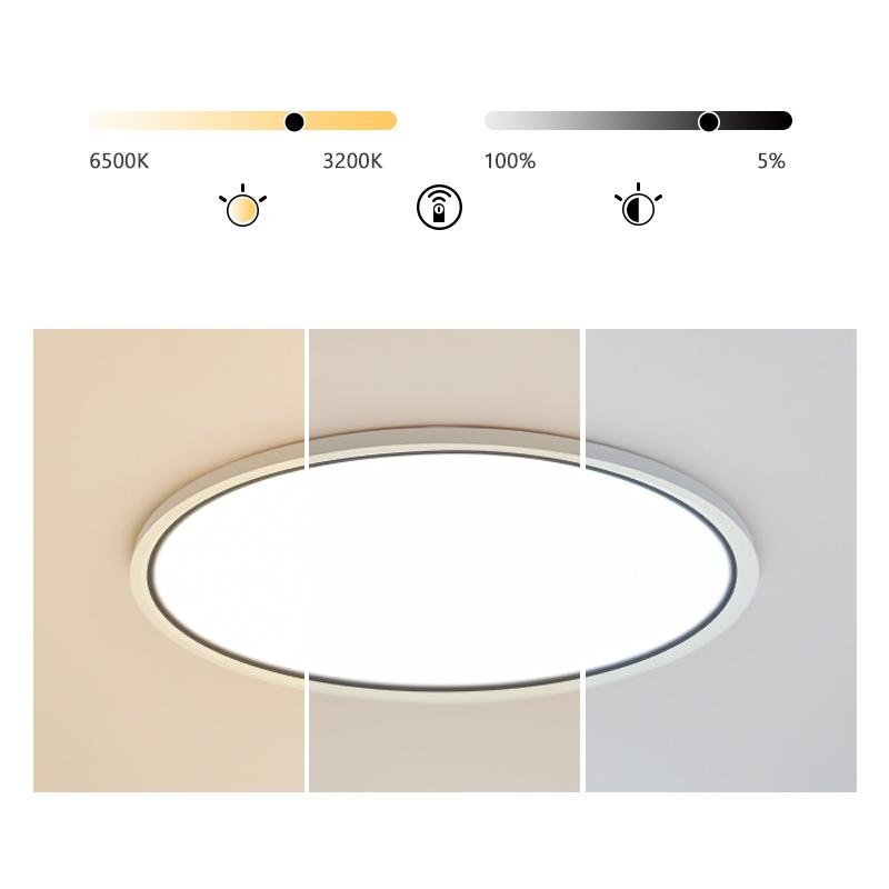 Soft White Round Dimmable Flush Mount Light