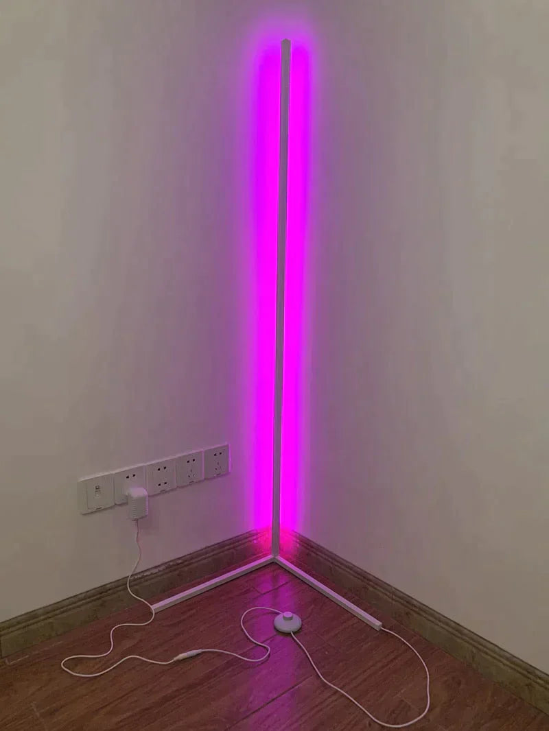 Dimming Black White Floor Lamp Modern RGB Remote LED Floor Lamps Standing Lamp simple corner standing Lamp corner light dropship