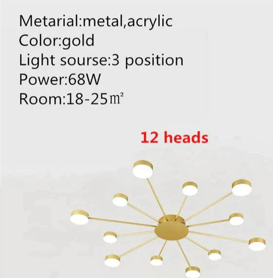 Europe Ceiling Lamp Contracted Modern 16 heads LED Gold Indoor Light Restaurant Living Room Bedroom Decoration Lighting Fixture