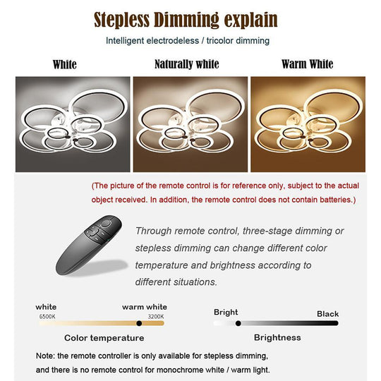 Circles Aluminum Acrylic Flush Mount LED Ceiling Light