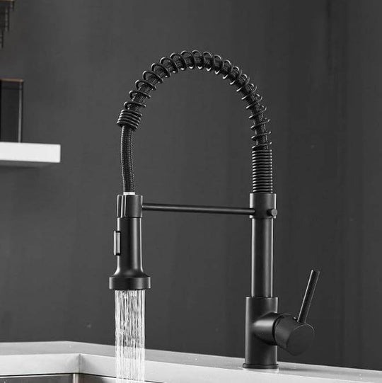 HydroBliss - Modern Spring Kitchen Faucet