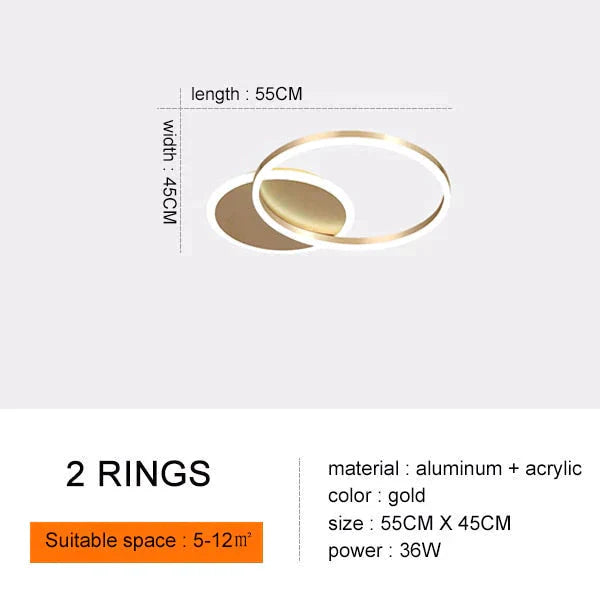 Modern Ceiling Lights For Living Room Circle Gold Brown LED Plafon Decor Bedroom Lamps Fixture With Remote Control Lustre