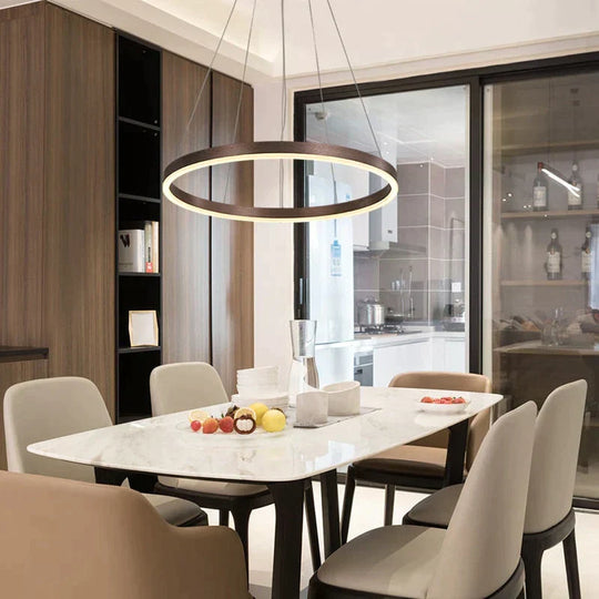 Nordic Art Deco Luxury Led Circular Pendant Lights Hanging Lamps for Living Room Dining Table Bedroom