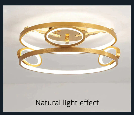 LED Ceiling Lights Gold Body Round/Square For Bedroom Support  Remote Control Led Lamps