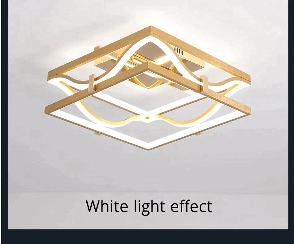 LED Ceiling Lights Gold Body Round/Square For Bedroom Support  Remote Control Led Lamps