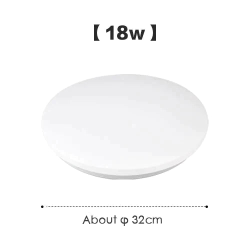 LED Modern Ceiling Light Surface Mounted Lamp Indoor Lighting Fixture Home Simple Decor Kitchen Bedroom Balcony Living Room