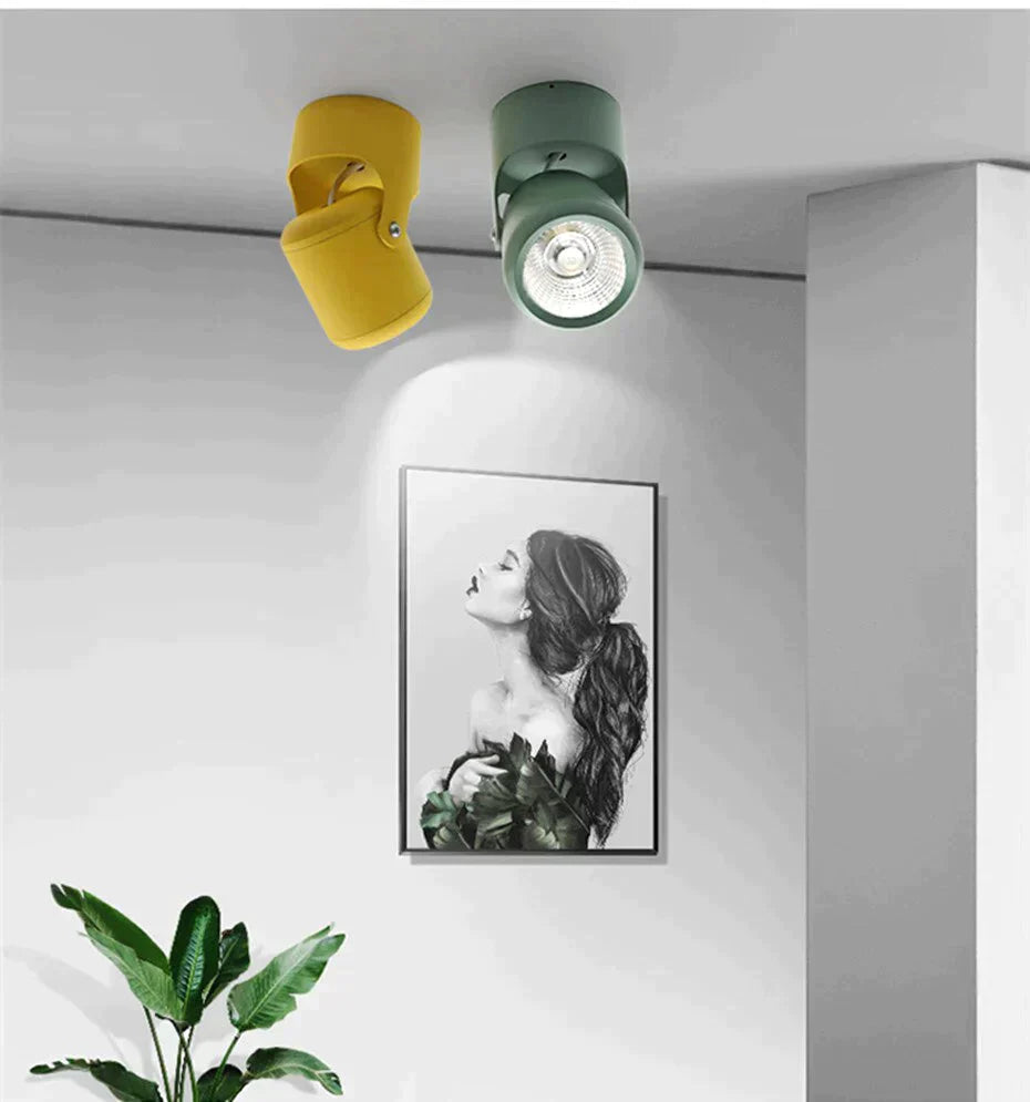 Morden LED Ceiling Light 20w 15w 10w Ceiling lights Living Room Lighting Fixture Bedroom Kitchen 360 Degree Rotate Spot Light