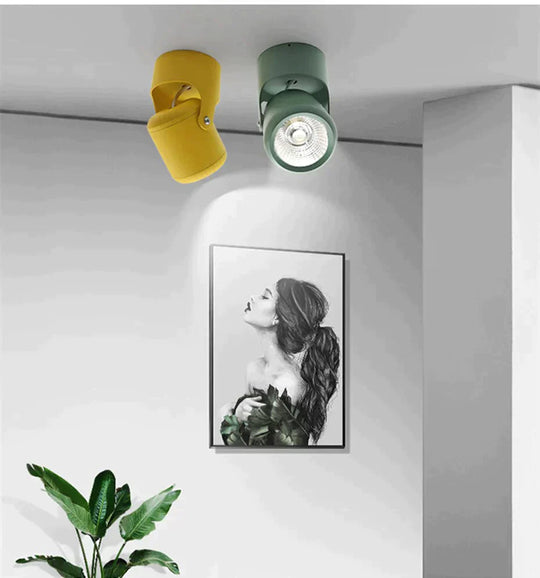 Morden LED Ceiling Light 20w 15w 10w Ceiling lights Living Room Lighting Fixture Bedroom Kitchen 360 Degree Rotate Spot Light