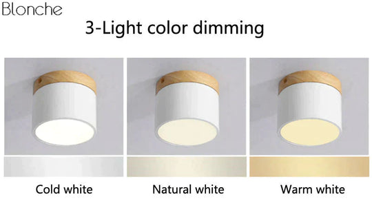 Nordic Ceiling Lights Modern Porch Aisle Corridor LED Ceiling Lighting Fixtures