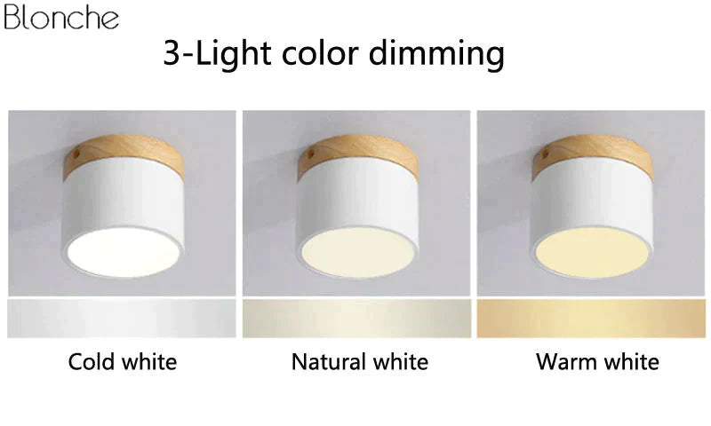 Nordic Ceiling Lights Modern Porch Aisle Corridor LED Ceiling Lighting Fixtures