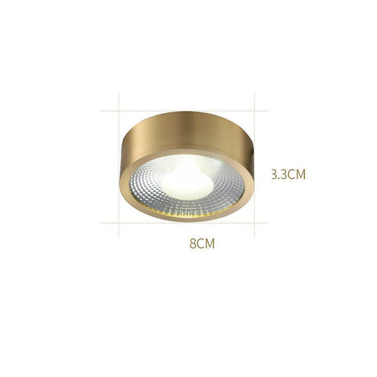 Round LED Copper Modern Flush Mount Ceiling Light