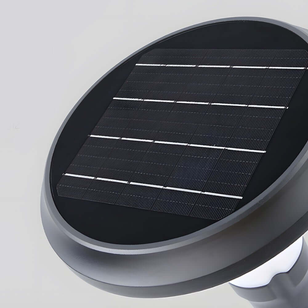 Sleek Black Solar LED Lawn Path Light – Contemporary Outdoor Lighting