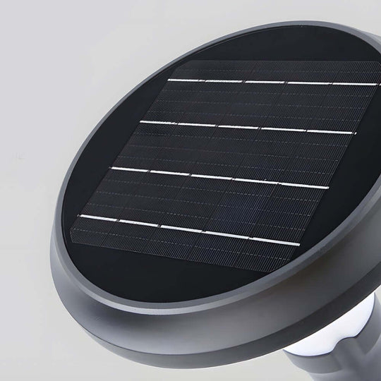 Sleek Black Solar LED Lawn Path Light – Contemporary Outdoor Lighting